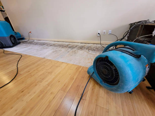 Professional Water Removal technician working in Minburn, IA